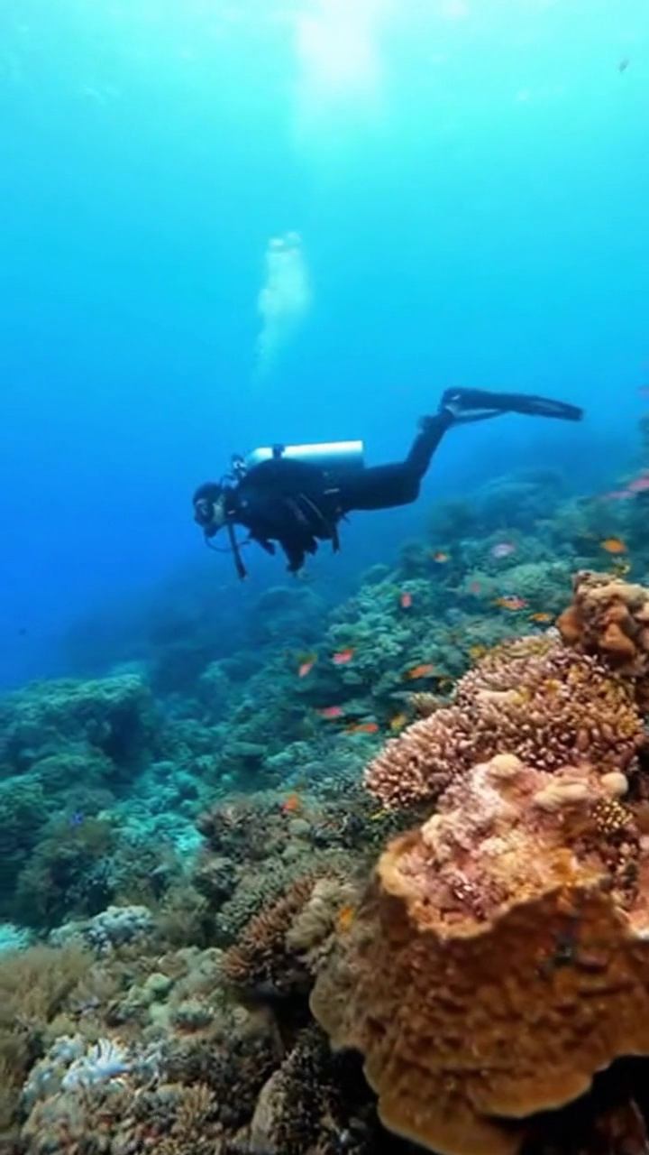 Realistic Physics & World Understanding