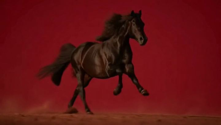 Image to Video & Text to Video AI