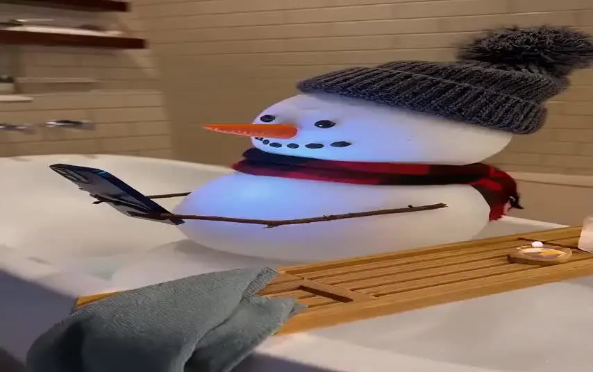 Animate Images into Realistic Scenes